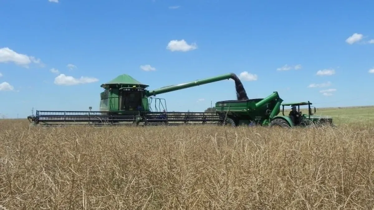 La colza no escapó a la tónica bajista de precios en un mercado sensible a los volantazos geopolíticos