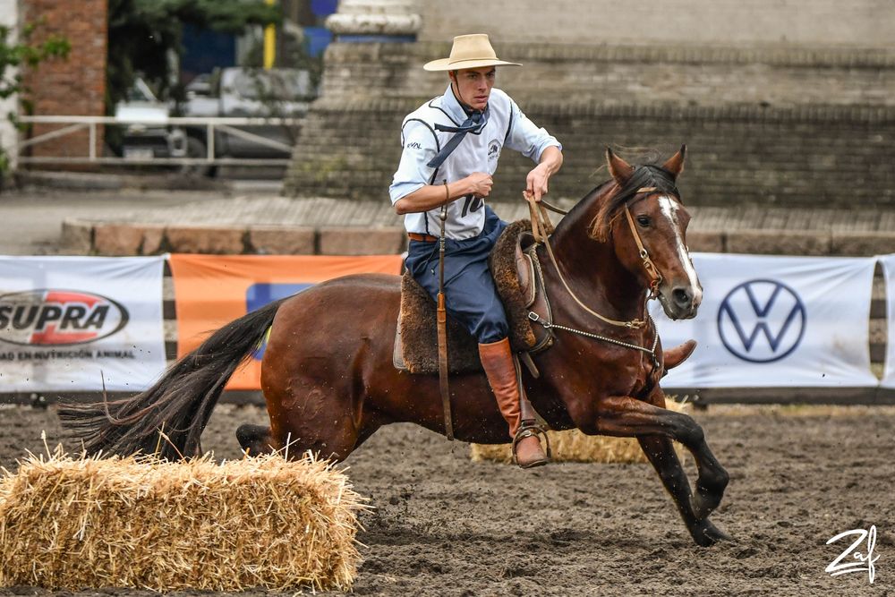 Caballos Criollos: Primer puesto en la Copa VW amateur para Monjita La Soleada, de Jacques Boutmy Achard.