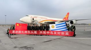 China recibió a los tres toros que Uruguay le envió.