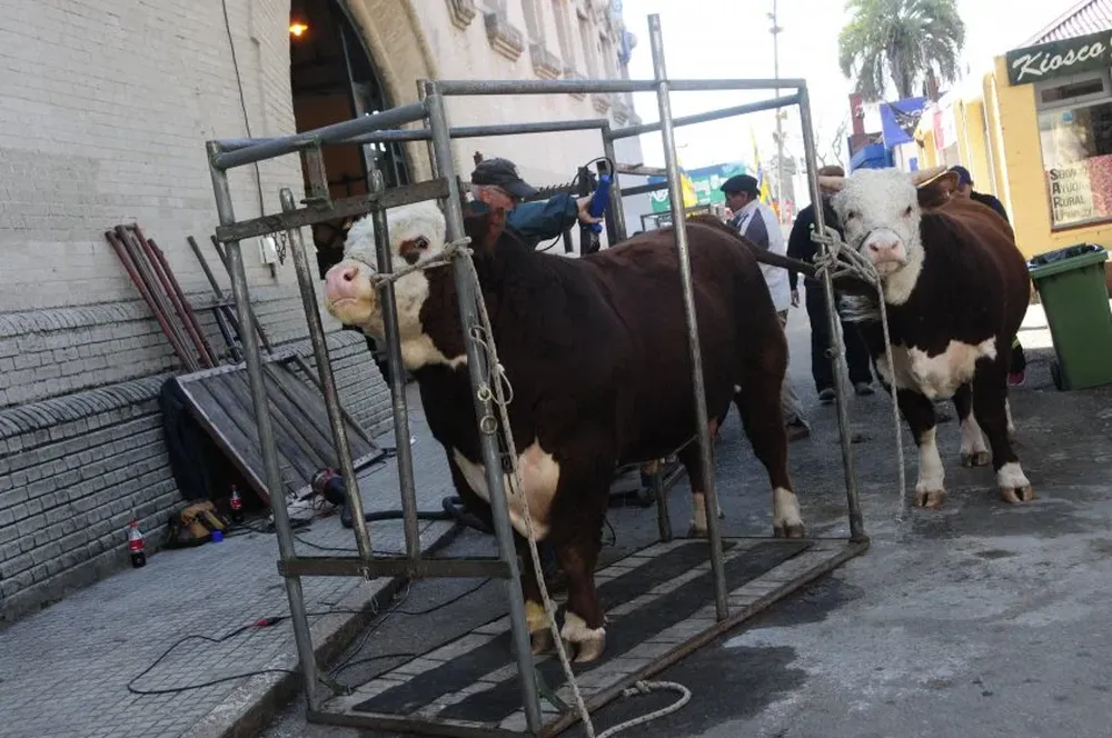 Ya se realizan los ajustes finales en los reproductores que irán a las pistas.