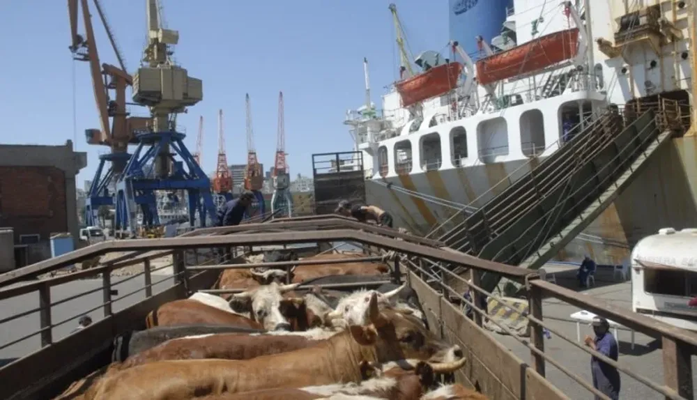 Los embarques quedarán habilitados a partir de enero de 2015