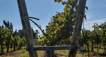 Las bodegas fueron un ejemplo de éxito de esta estrategia en 2021