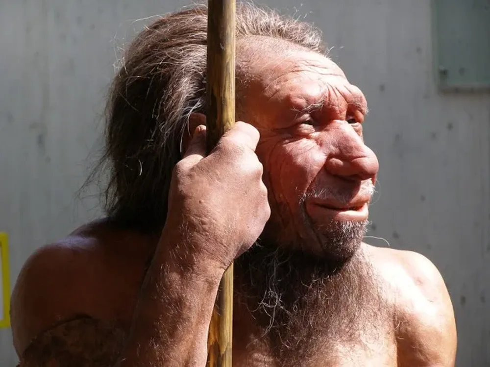 Reconstrucción de un neandertal