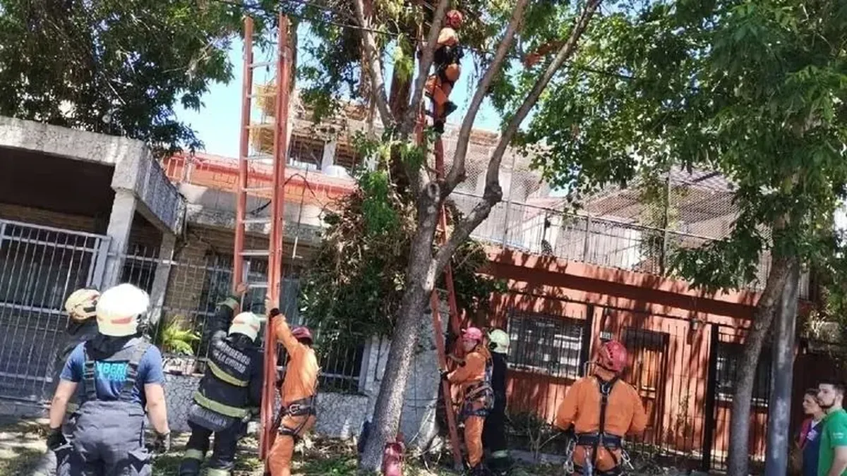 Accidente En Saavedra: Un Hombre Murió Y Un Policía Que Lo Ayudaba Está ...