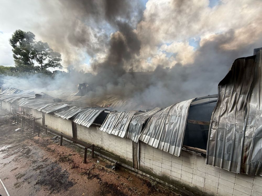 Incendio en depósito en el barrio Maroñas&nbsp;