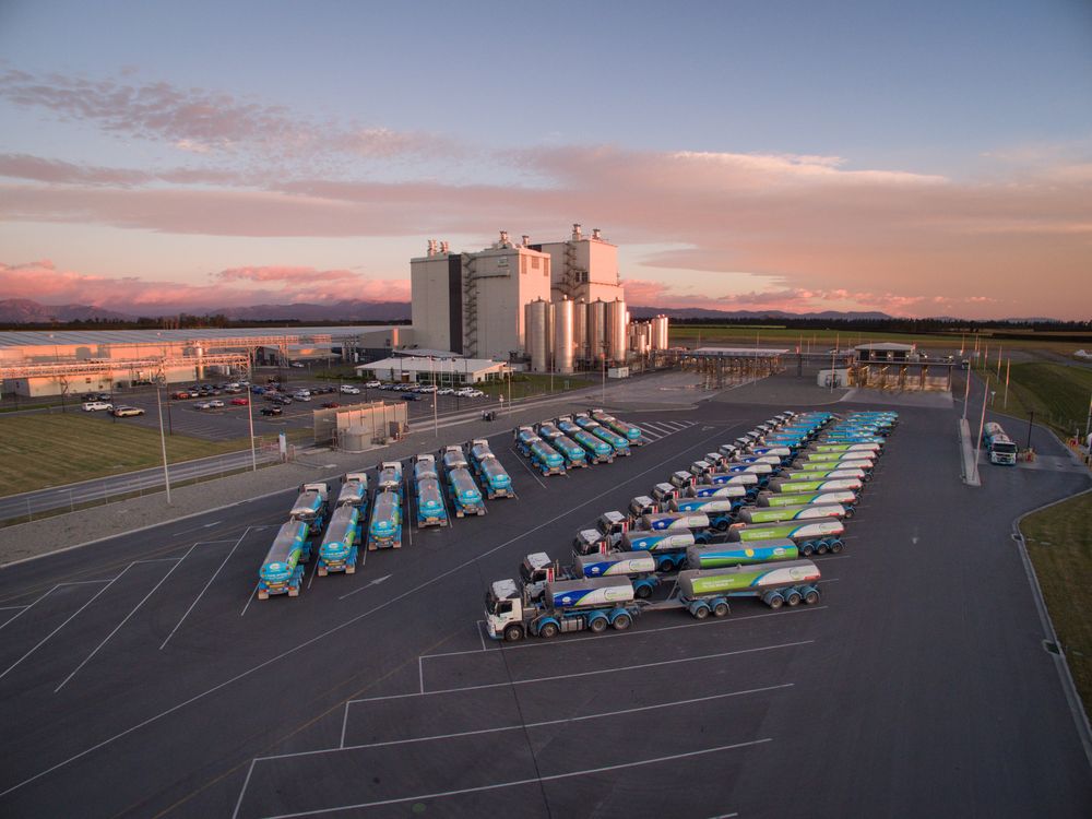 Lácteos: desde el inicio de 2026 los precios en la plataforma GDT no han parado de ascender.