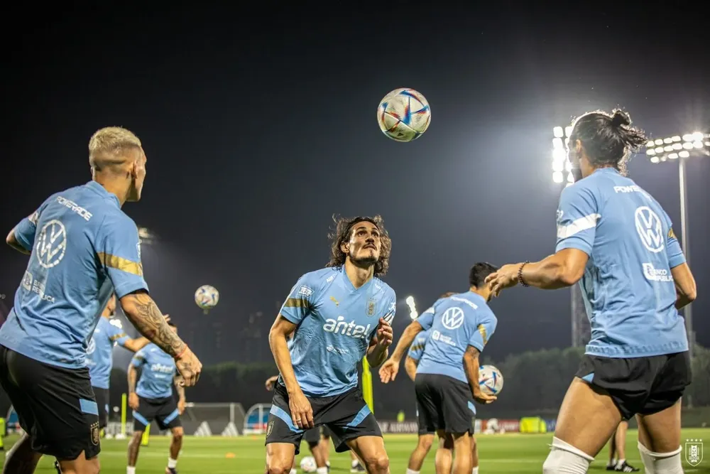 El principal producto que Uruguay le exporta a Corea del Sur es la celulosa.