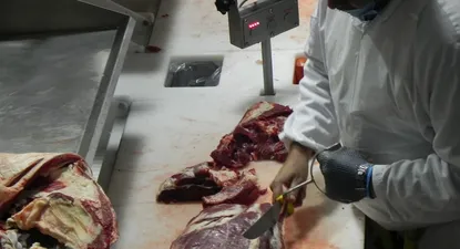 Caen las expectativa de los industriales sobre la economía y las ventas del mercado externo