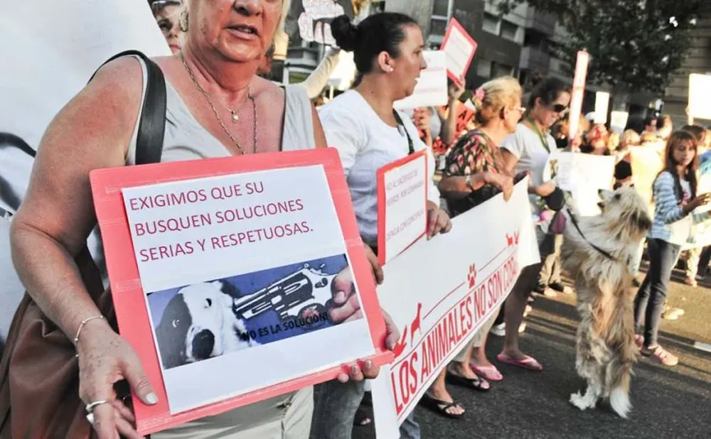 Diputado asegura que Uruguay perdió el tiempo en el tema. I. Guimaraens