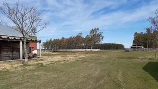 Rematan gran establecimiento rural en Paysandú sin base