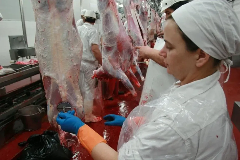 Aprobación definitiva al cordero con hueso de Uruguay en EEUU sigue a la espera