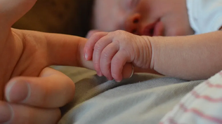 Subsidios por maternidad, paternidad y cuidados parentales siguen cayendo mientras se profundiza el descenso de nacimientos