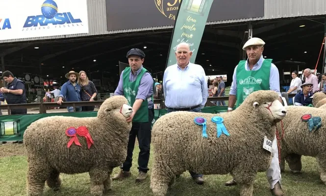 Mariano Rodríguez Bidegain, Jorge Rodríguez Britos y Fredy Perera.