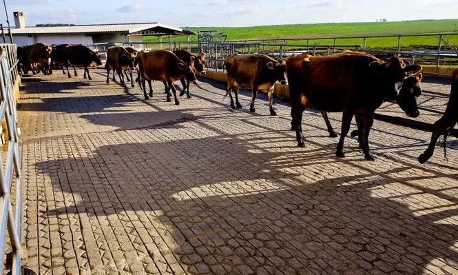 En julio bajó un 2% el poder de compra en relación a junio pasado