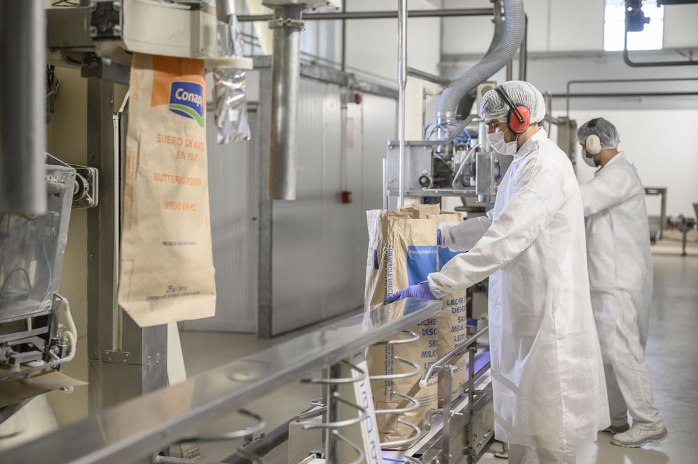 Lácteos: Uruguay coloca principalmente leches en polvo, quesos y manteca.
