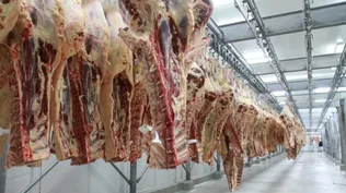 Procuran firmar en noviembre un convenio para vender carne por petróleo a Irán