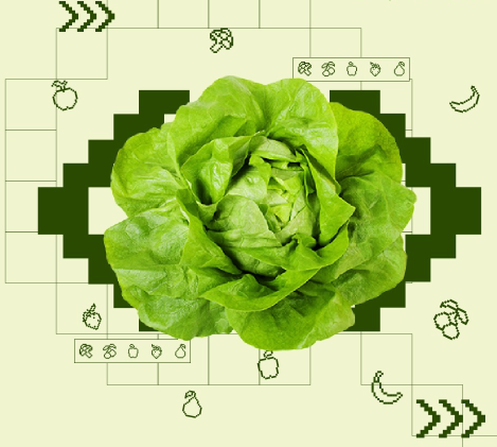 Chatbot al servicio de los uruguayos, para que ingieran más porciones de frutas y verduras, útil ello para una mejor salud.