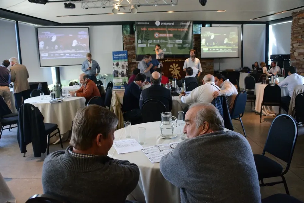 La coyuntura del negocio generó colocación parcial en algunas categorías.