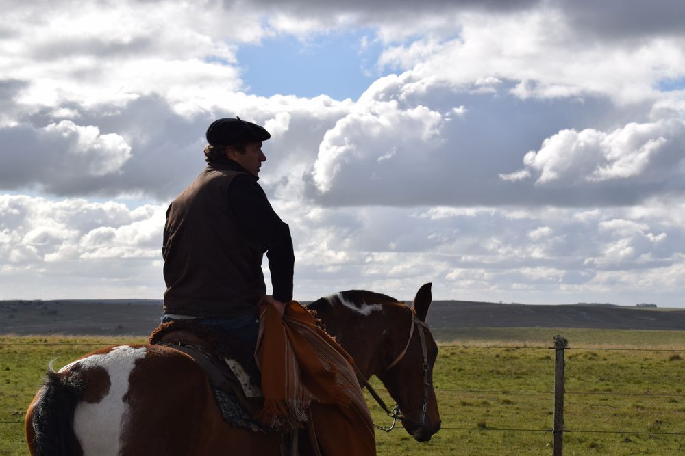 Productor rural: cada 15 de abril se conmemora su día en Uruguay.