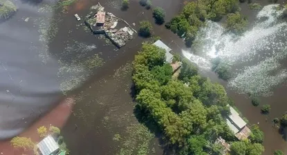 El Observador | 1711318502676.webp