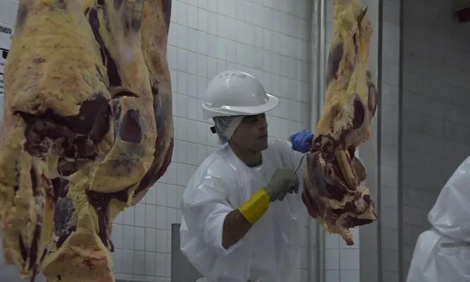 Qué esperan las empresas sobre la evolución de la inflación y costos para los próximos meses