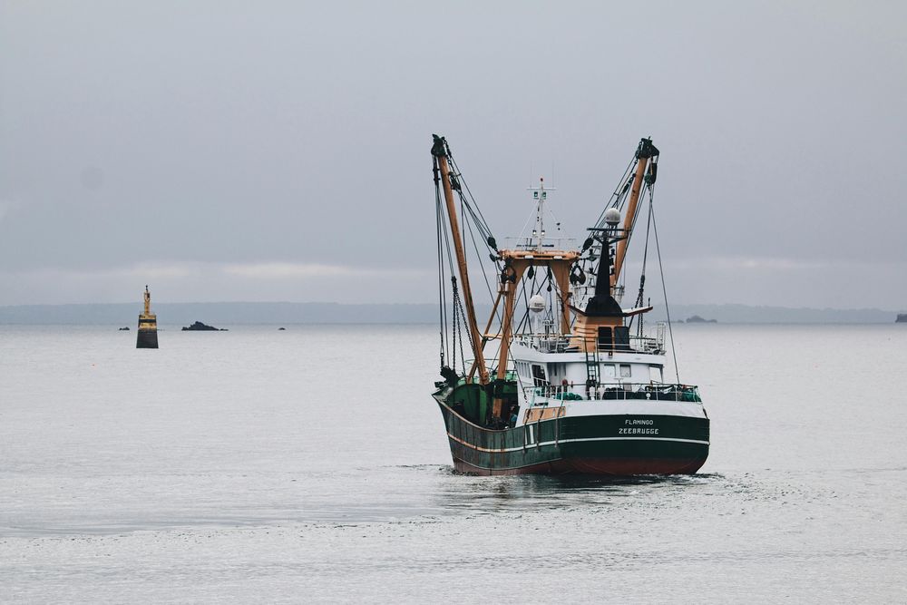 Pesca industrial.