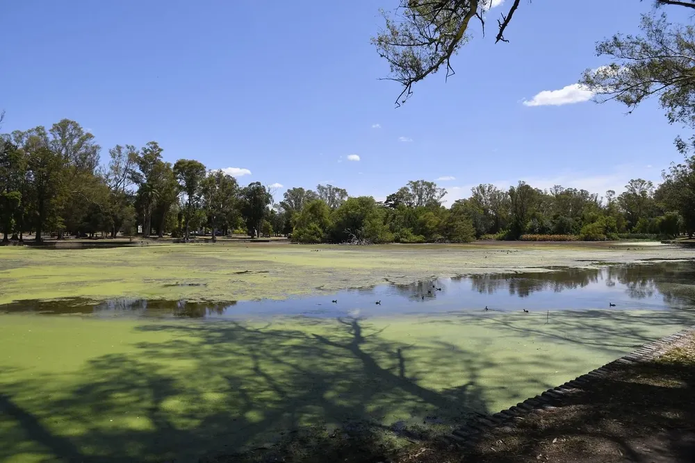 Lago del Parque Rivera casi sin agua