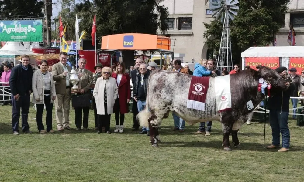 El Gran Campeón Shorthorn es coronado en la Expo Prado 2015