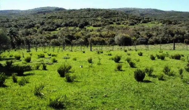 El campo está dentro de la jurisdicción del Paraje Alférez, en Maldonado