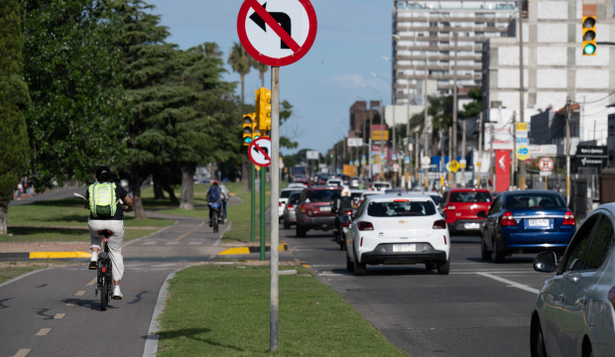 La Intendencia de Montevideo instaló nuevo semáforo e implementó flechamientos en Avenida Italia: los detalles