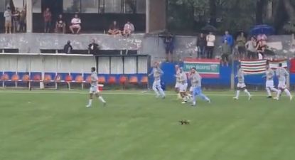 La curiosa especie animal que apareció en una cancha del fútbol uruguayo; mirá la mascota en el Palermo en la goleada Colón vs Rampla Juniors