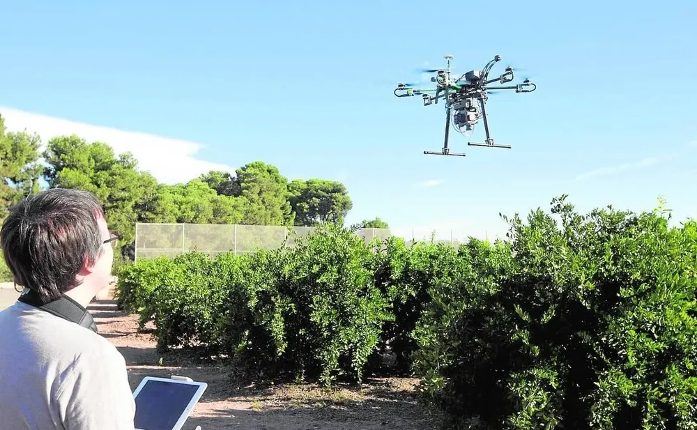 Uso de dron sobre frutales