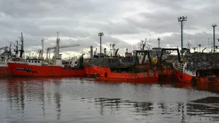 Los barcos pesqueros en el Puerto de Montevideo