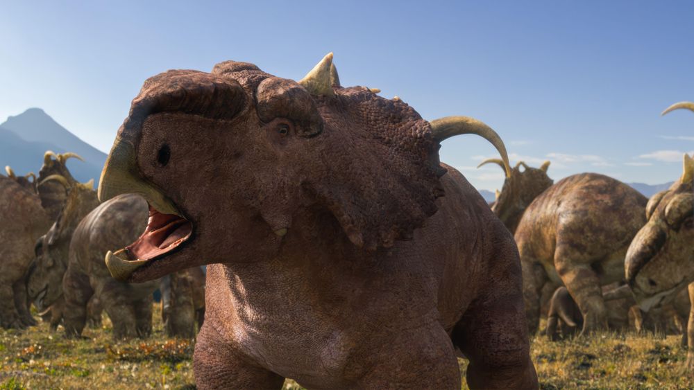 El Pachyrhinosaurus tenía unos cuernos distintivos de estilo unicornio, como se muestra en esta imagen generada por ordenador.