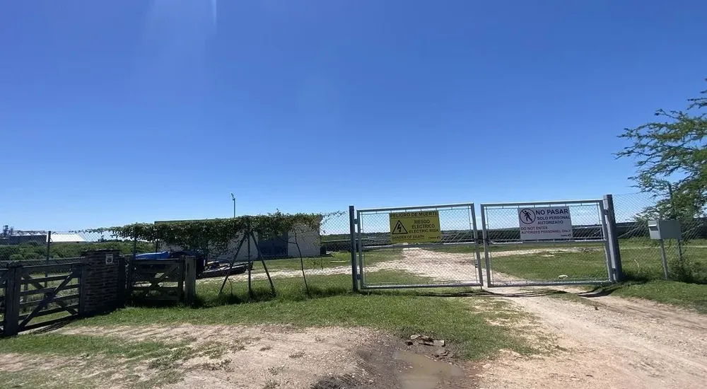 Iocco remata 21 fracciones de campo en Paysandú.