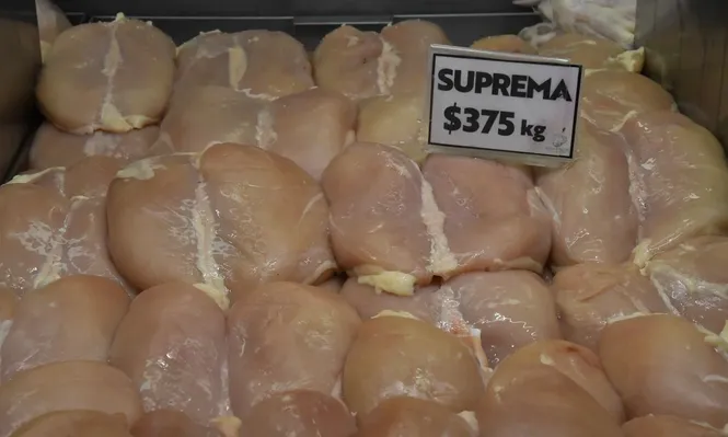 Supremas.