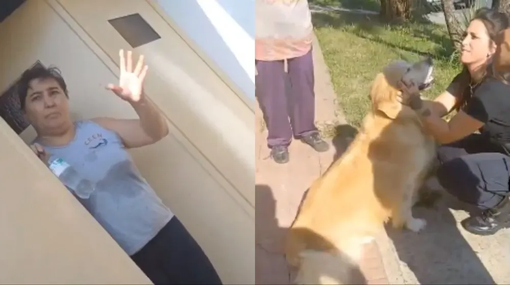 Una mujer fue denunciada por intentar faenar su perro. El animal fue puesto a resguardo