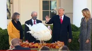 ¿Vendrán más perdones?: Donald Trump indultó a su último pavo en la Casa Blanca
