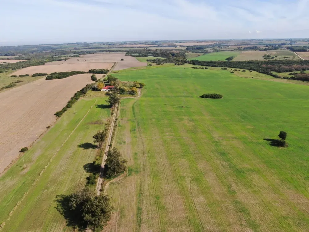 Da Silva Agroinmuebles ofrece un campo de 280 hectáreas ubicado en San José.