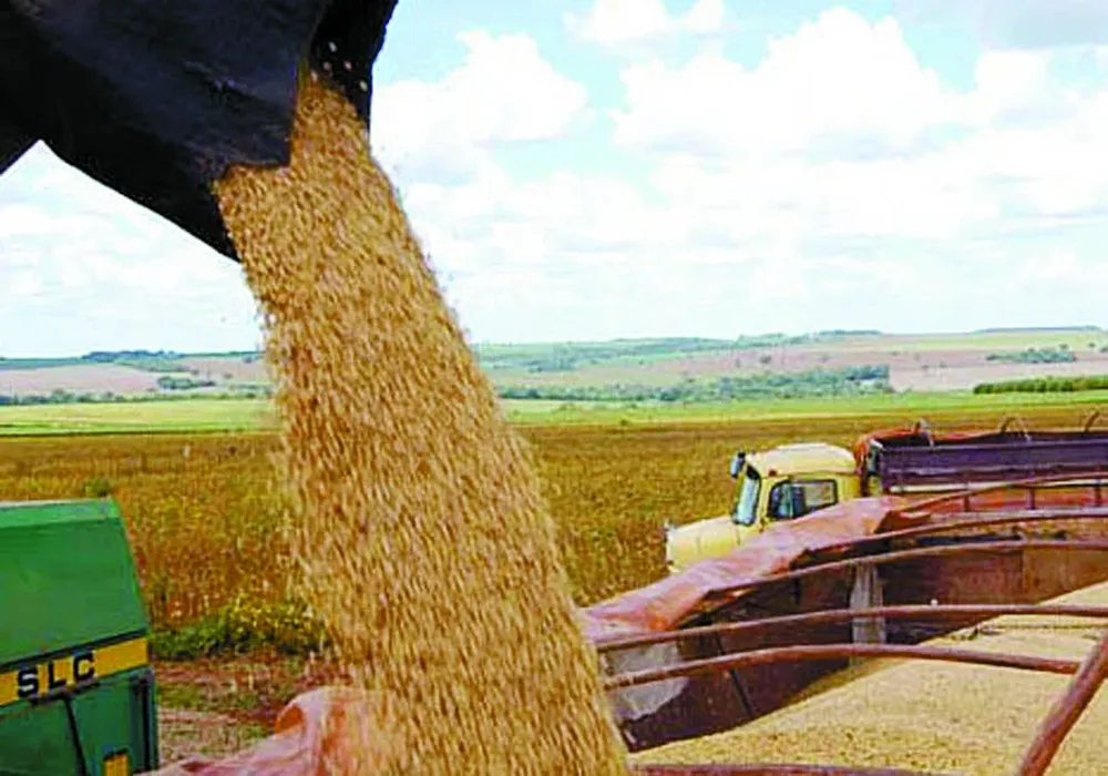 Brasil se encamina a la mayor producción de soja del mundo