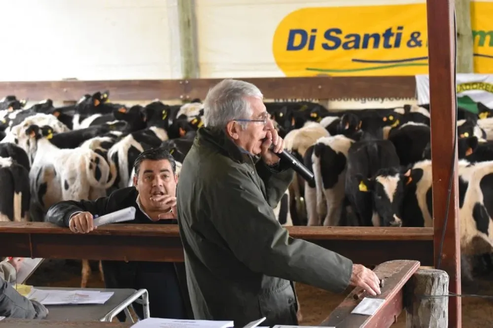 Oportunidad para empezar la primavera con buena reposición