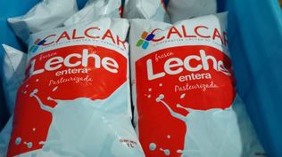 Calcar: reapertura con base en la producción de leches frescas.