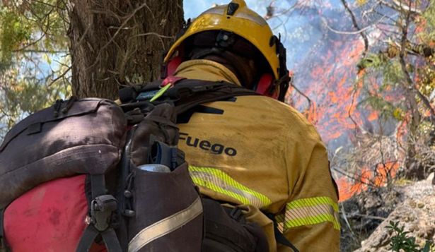 En medio de los incendios que sufre la Patagonia, se pone especial atención a las inversiones en ambiente y el servicio de manejo del fuego.