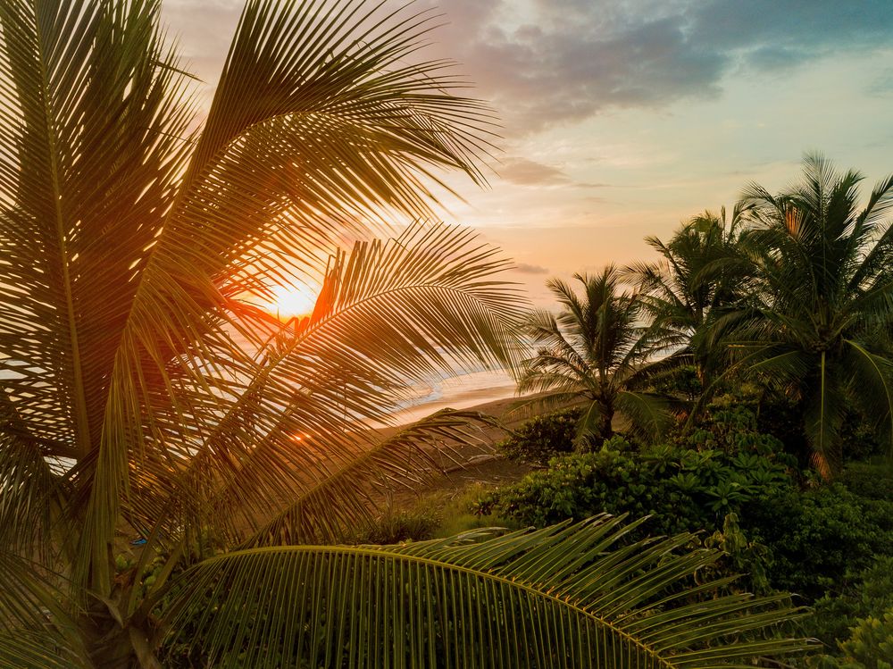 Costa Rica protege un cuarto de su territorio como parques naturales y refugios de vida silvestre, ofreciendo un escape perfecto a la naturaleza.