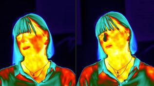La caída de temperatura en la nariz, que se ve en la imagen térmica de la derecha, se produce porque el estrés afecta nuestro flujo sanguíneo. La caída de temperatura en la nariz, que se ve en la imagen térmica de la derecha, se produce porque el estrés afecta nuestro flujo sanguíneo.
