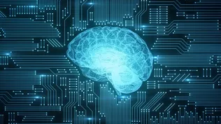 Desde los inicios de la vida tenemos la constante oportunidad de influir en nuestro propio cerebro.