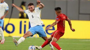 Manuel Ugarte contra Bolivia y Ramiro Vaca