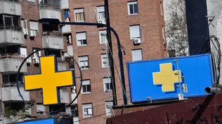 ¿Cuáles son los negocios a los que, a diferencia del resto, les va bien con la pandemia?