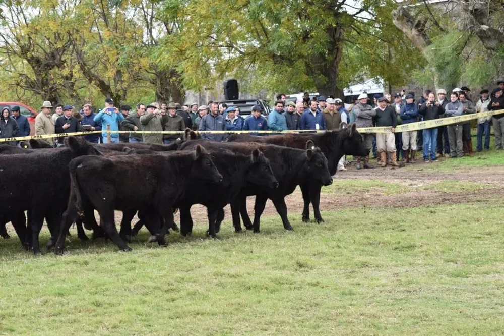 Los participantes de la gira observaron en detalle cada uno de los lotes