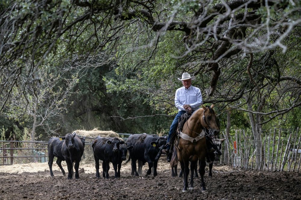 El comisionado de Agricultura de Texas, Sid Miller, monta a caballo en su rancho de Stephenville, Texas.